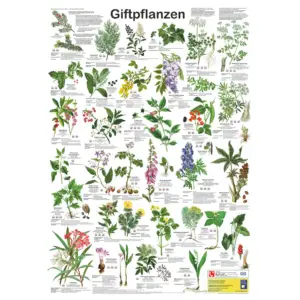 giftpflanzen - kunstdruck