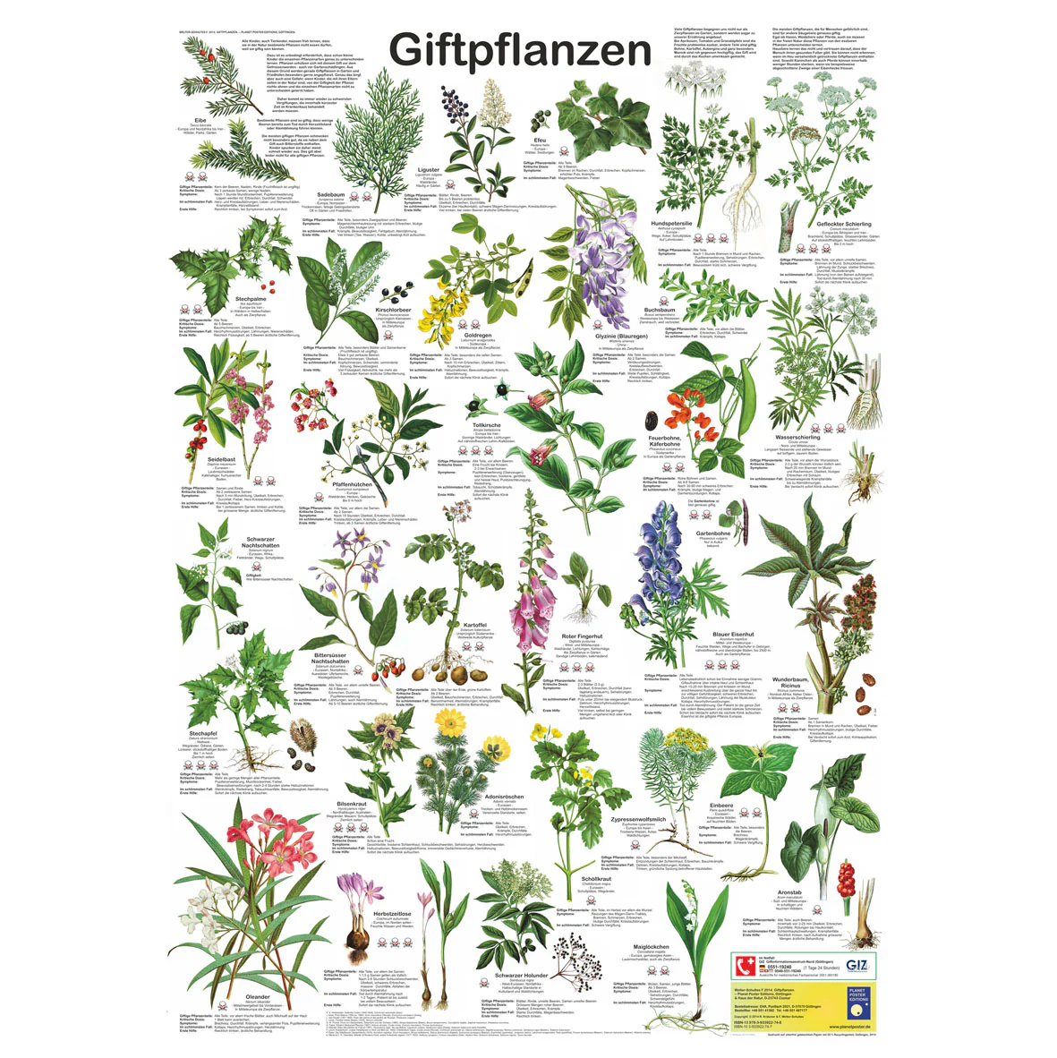 Giftpflanzen